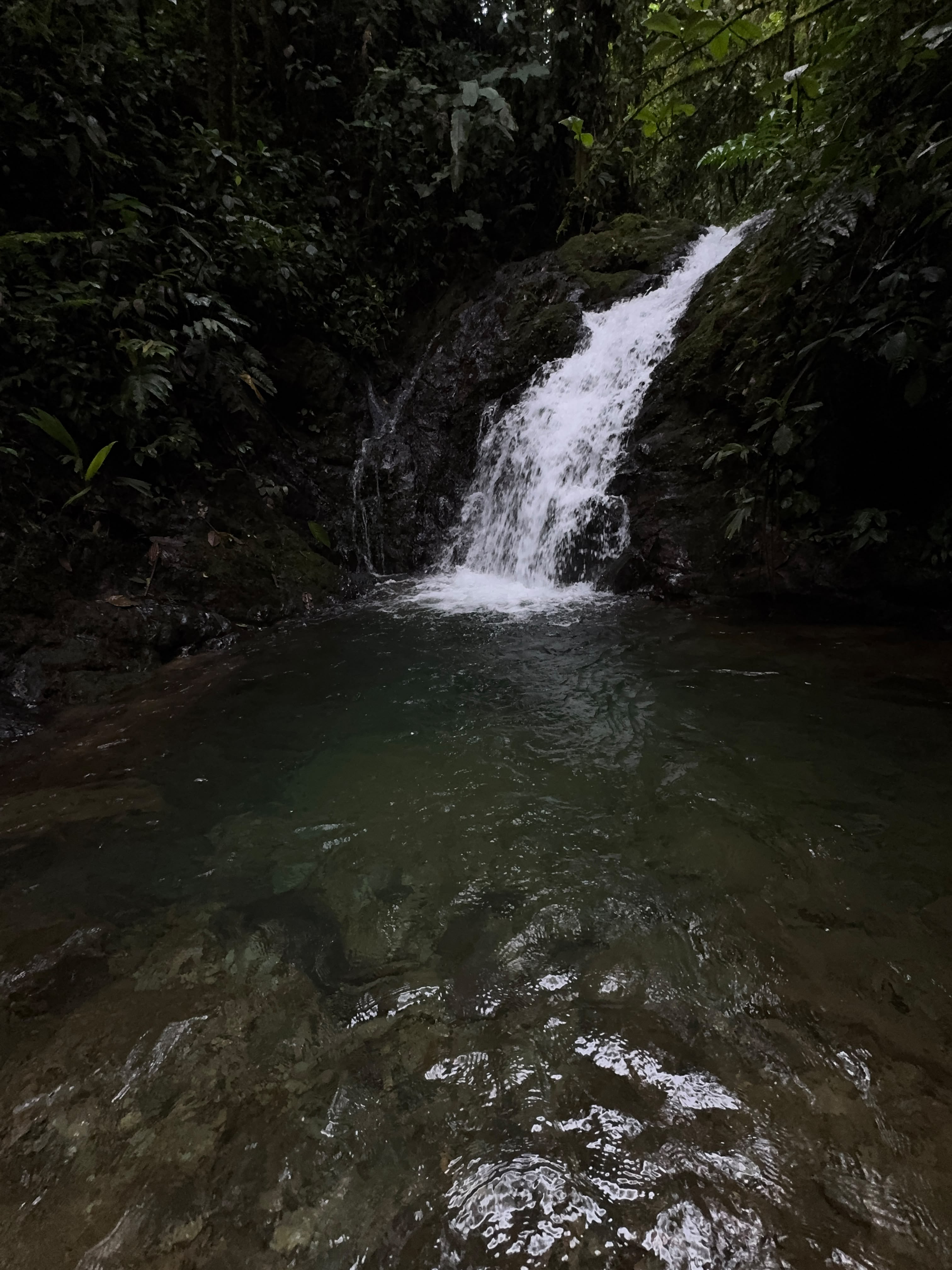 Hidden waterfall in the Mashpi Amagusa Reserve, Ecuador