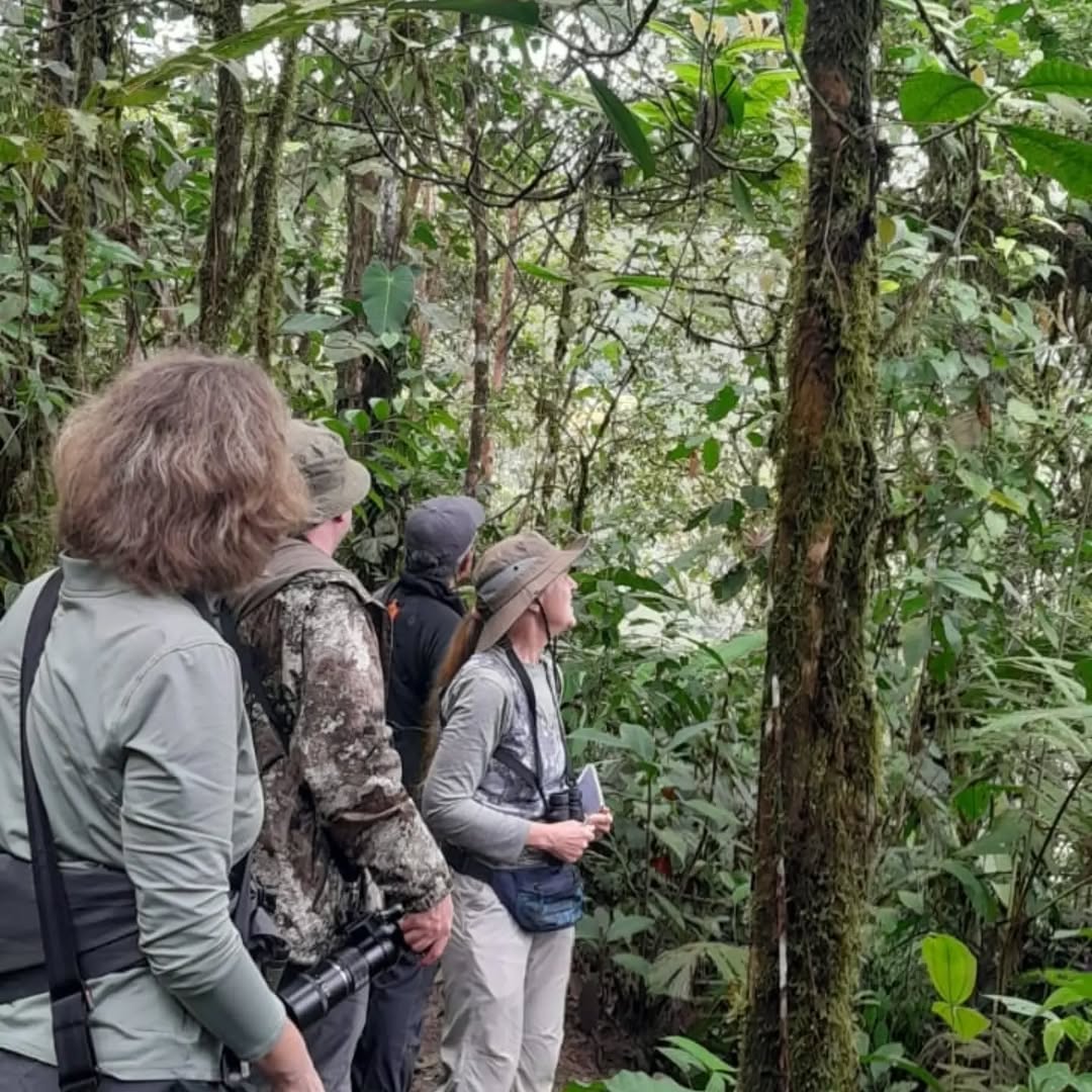 Group birdwatching along the Mashpi Amagusa trail